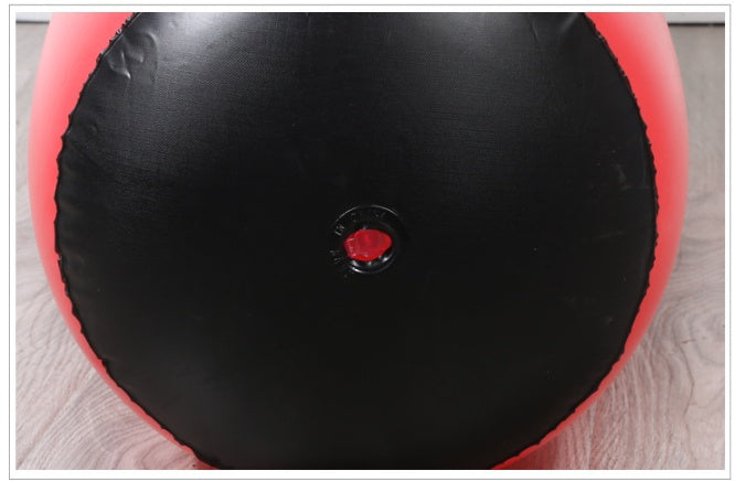 Boxing Punching Bag