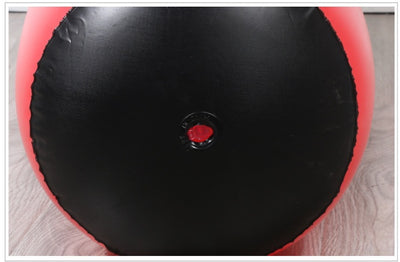 Boxing Punching Bag