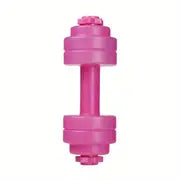 Adjustable Water-Filled Dumbbells